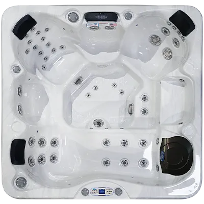 Avalon EC-849L hot tubs for sale in Buena Park